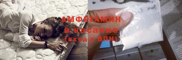 индика Киренск