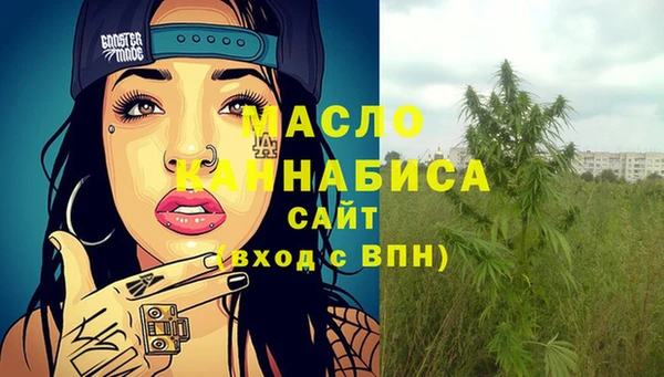индика Киренск