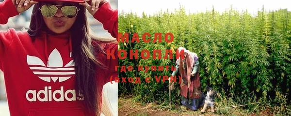 индика Киренск