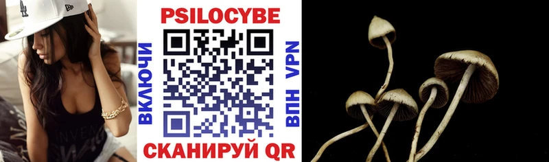Галлюциногенные грибы мухоморы  Купить закладки  Большой Камень 